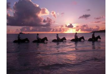 (Value $300) - Seaside Nature Park - Sunset Campfire 2pax